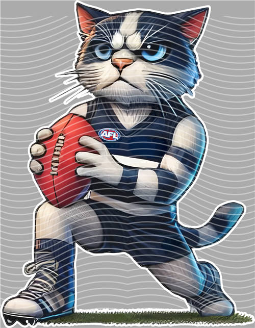 NBA and Team-QD 1377